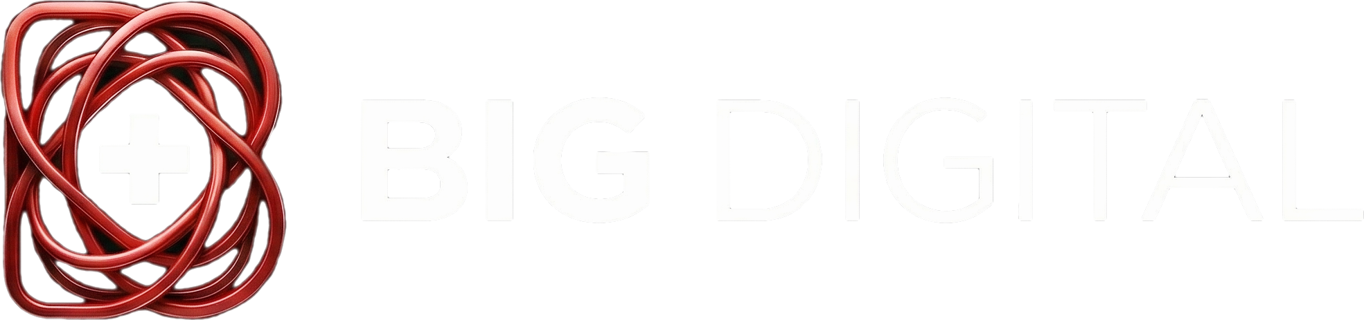 BigDigital Logo