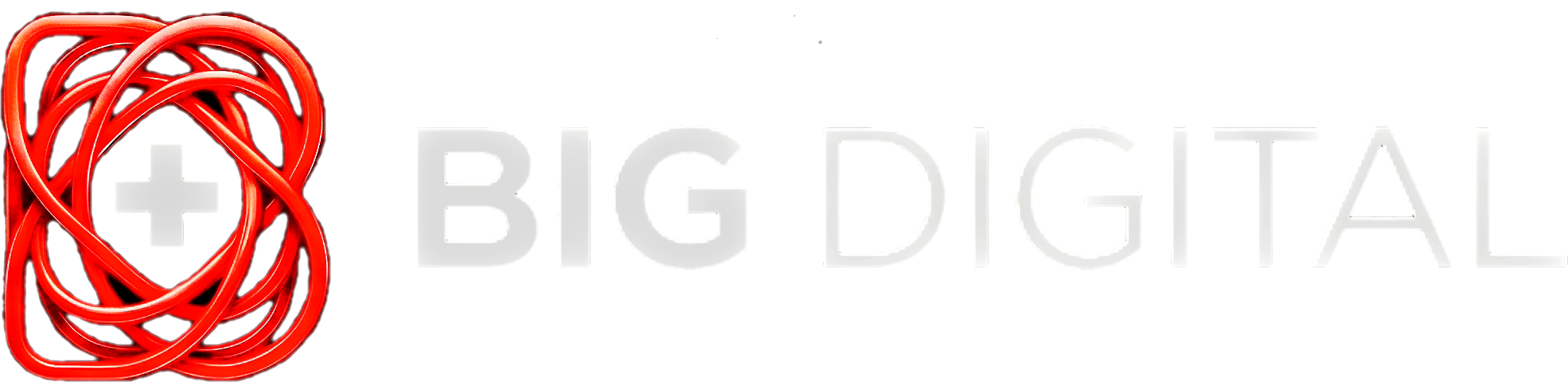 BigDigital Logo